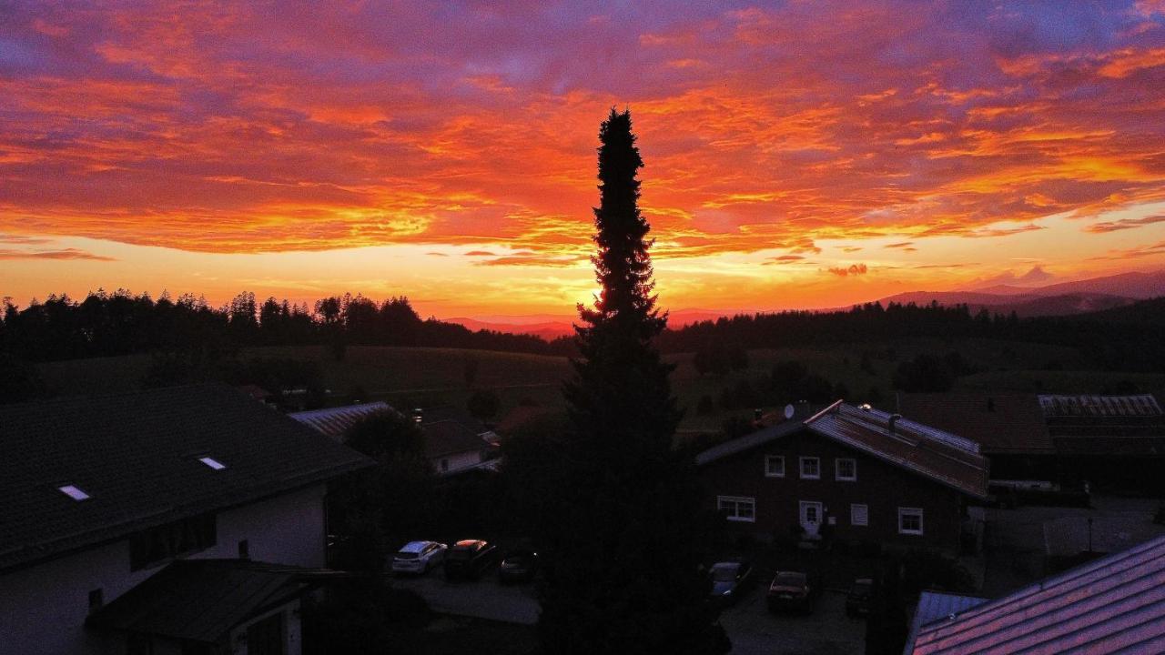 Zur Neuen Post Landgasthof Herzogsreut Exteriör bild