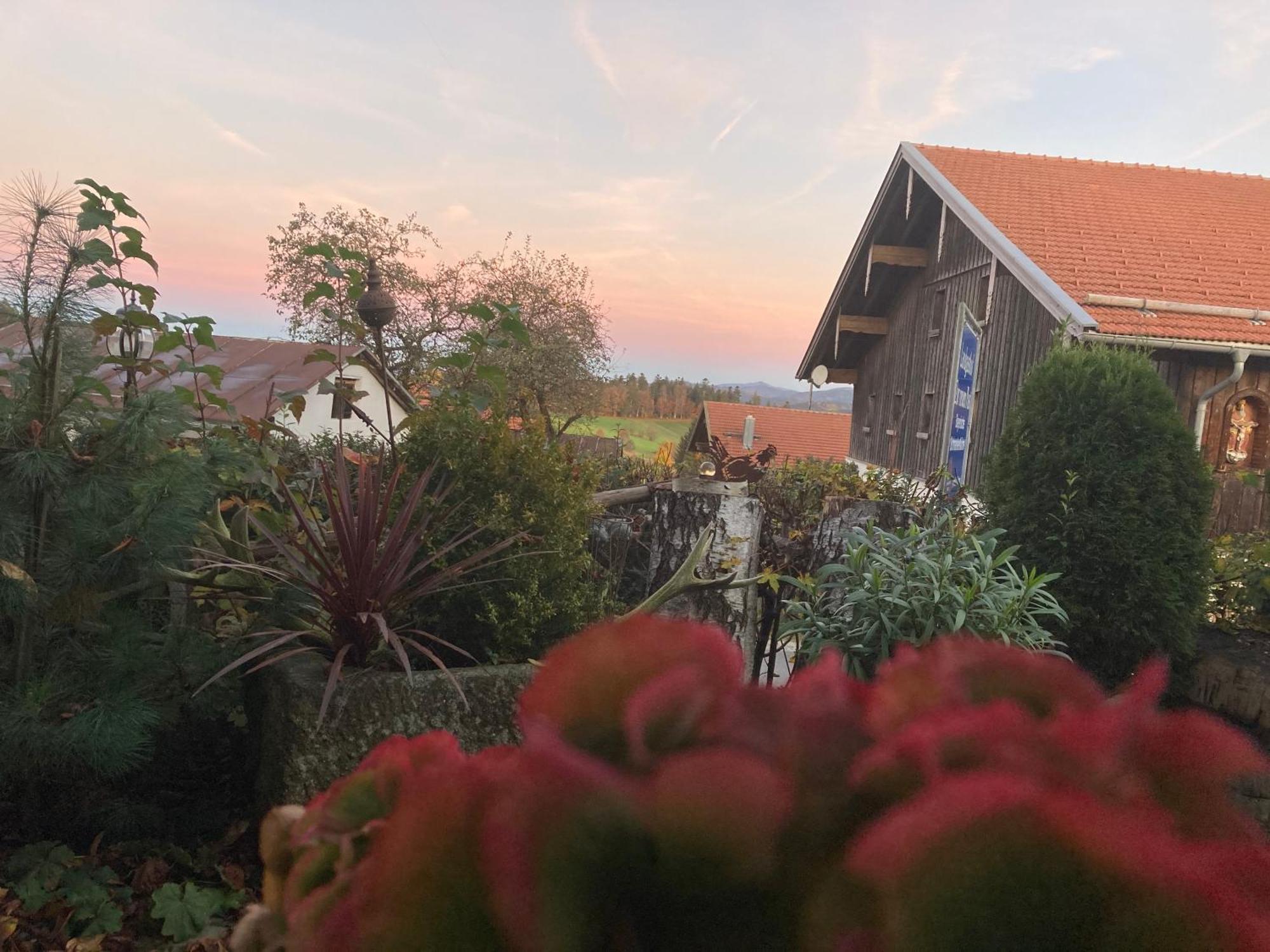 Zur Neuen Post Landgasthof Herzogsreut Exteriör bild