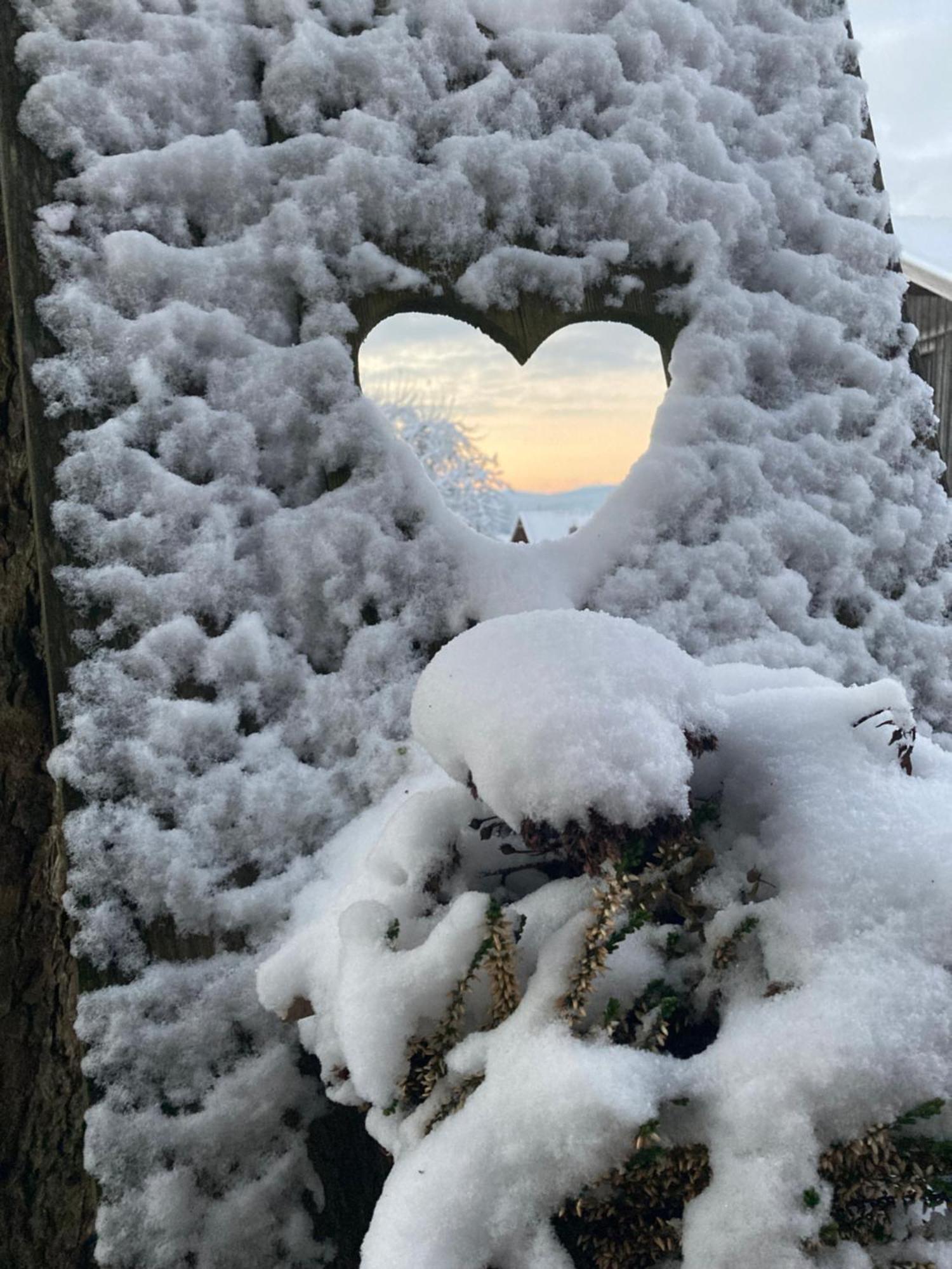 Zur Neuen Post Landgasthof Herzogsreut Exteriör bild