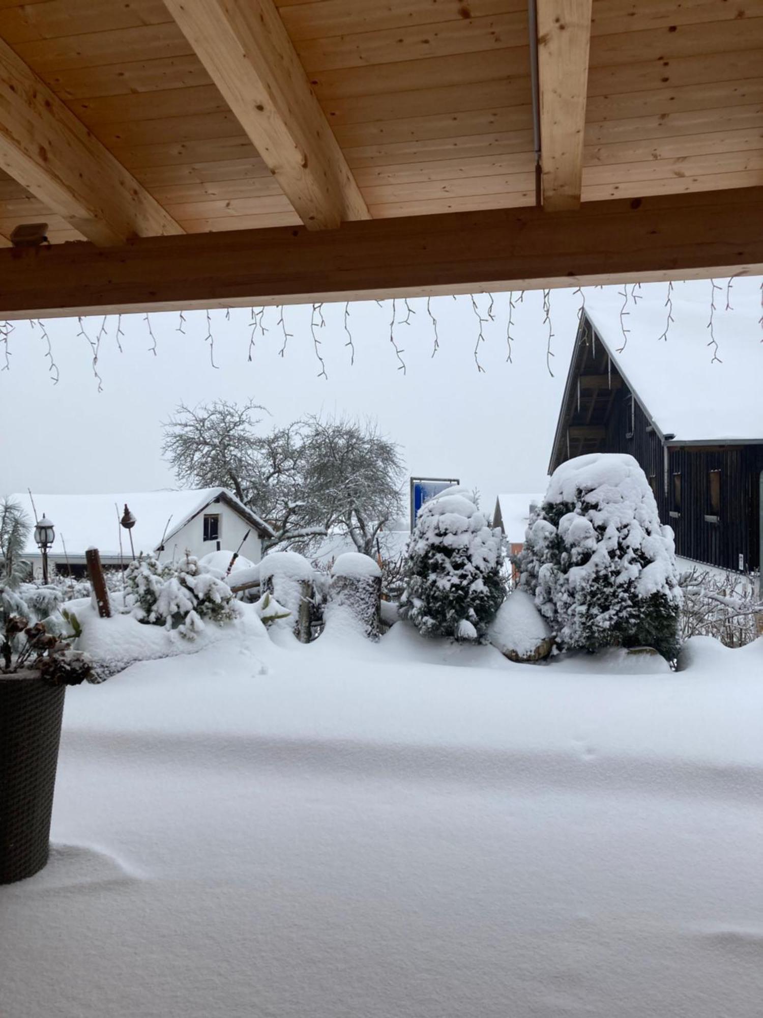 Zur Neuen Post Landgasthof Herzogsreut Exteriör bild