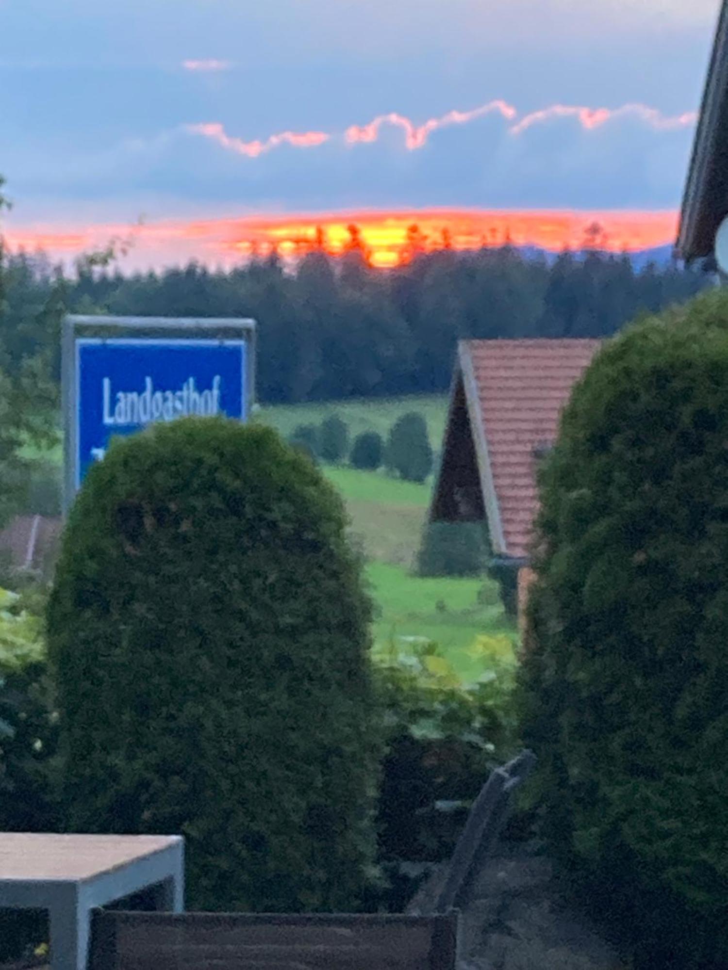 Zur Neuen Post Landgasthof Herzogsreut Exteriör bild
