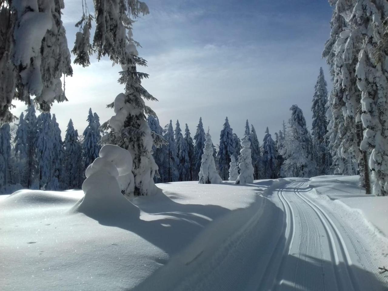 Zur Neuen Post Landgasthof Herzogsreut Exteriör bild